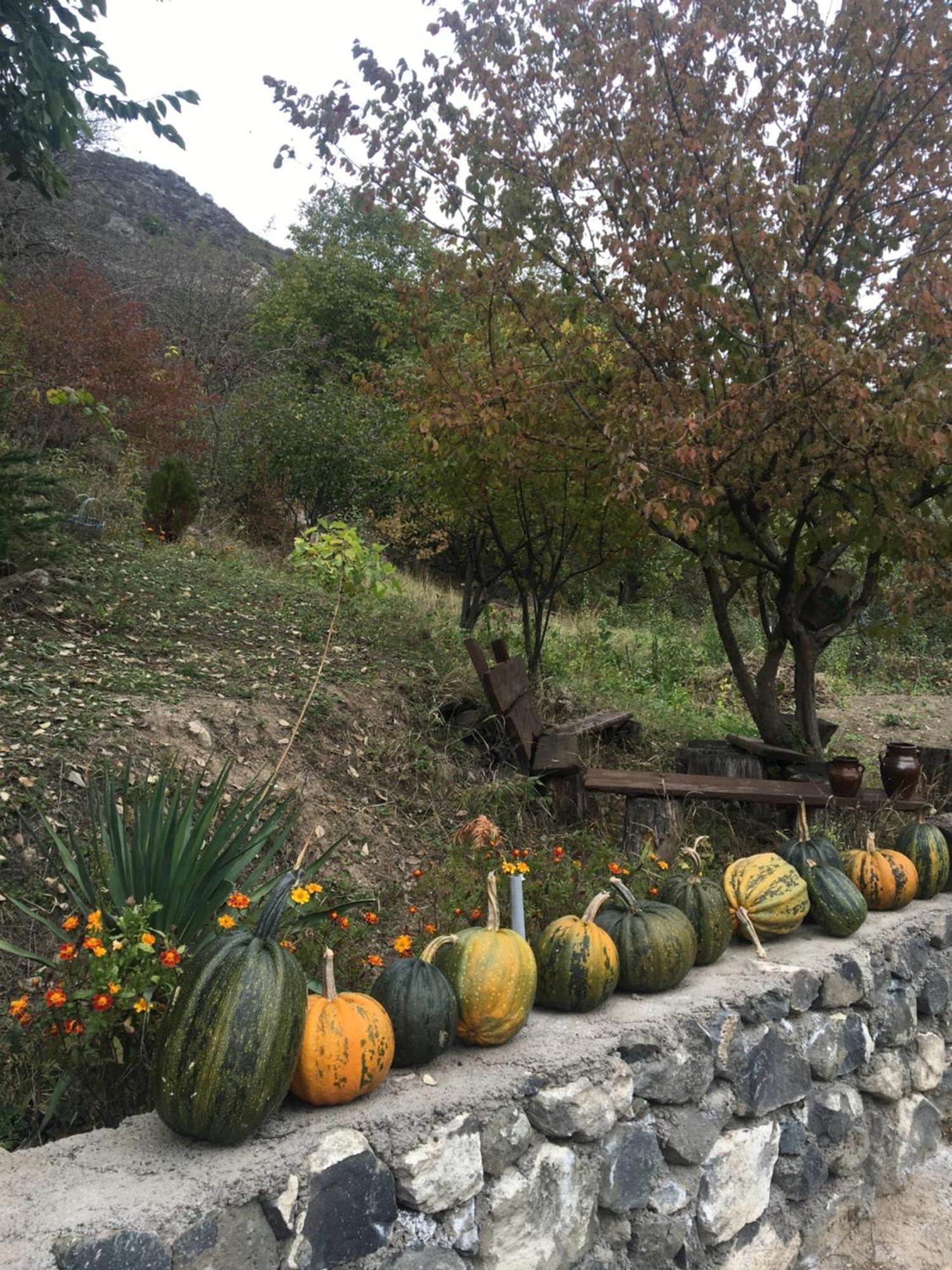 Holiday home Syunyats Halidzor