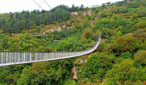 Syunyats * Halidzor